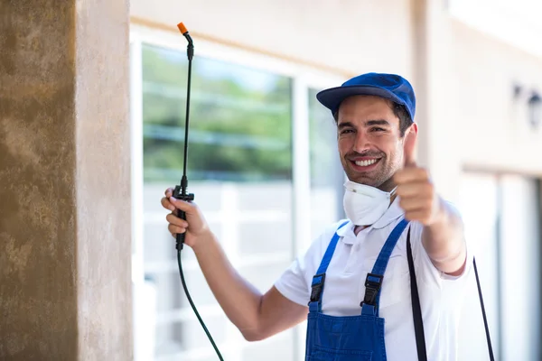Lemoore Wasp Removal