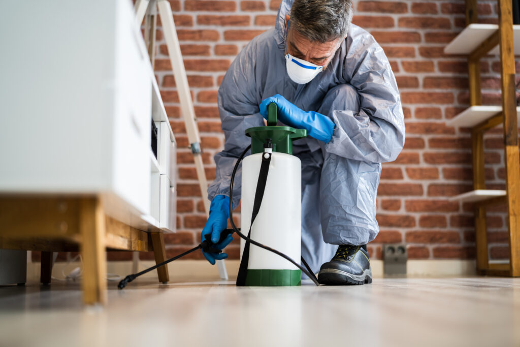 Lemoore Spider Control