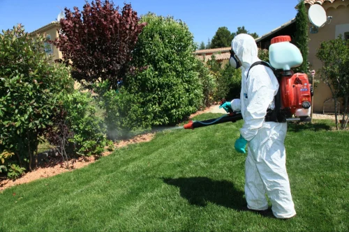 Lemoore Mosquito Control
