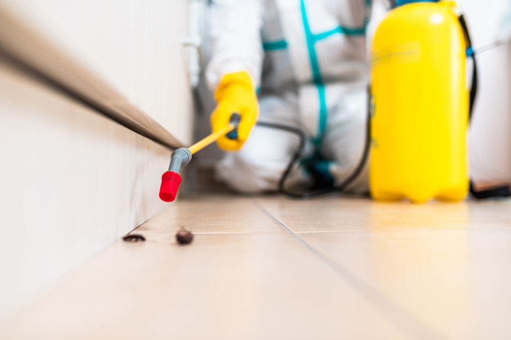 Lemoore Cockroach Experts