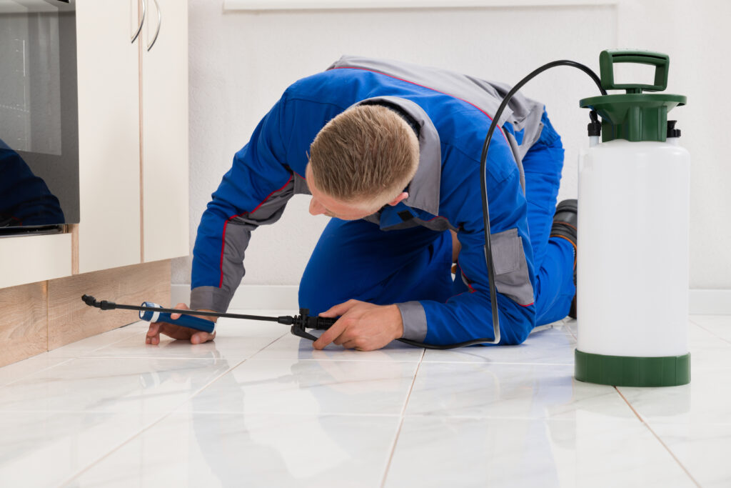Lemoore Ant Control Xperts