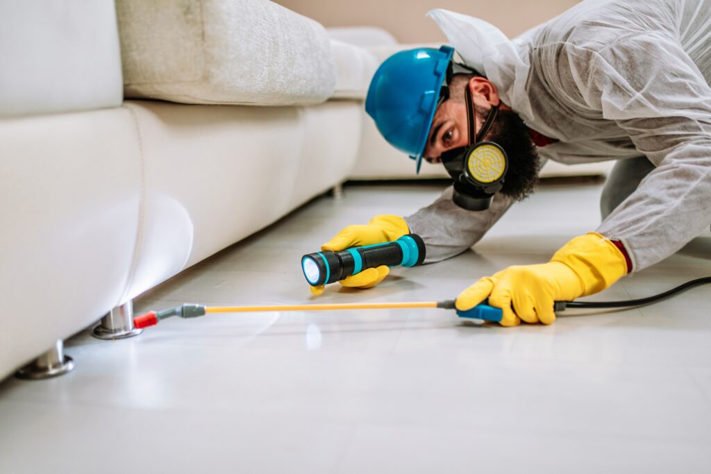 Lemoore Termite Control