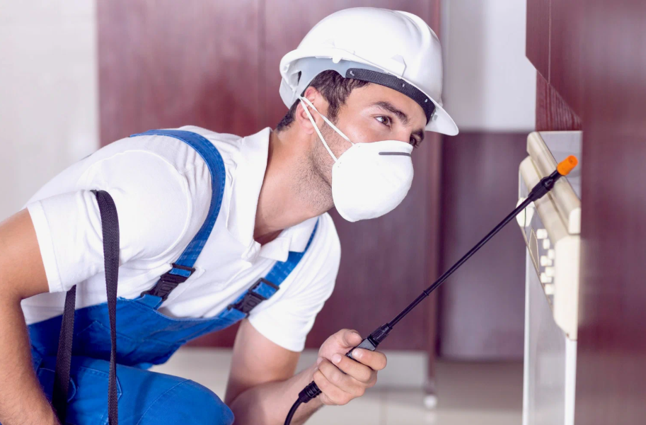 Lemoore local pest services
