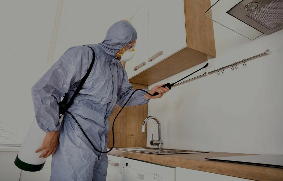 Lemoore pest managment