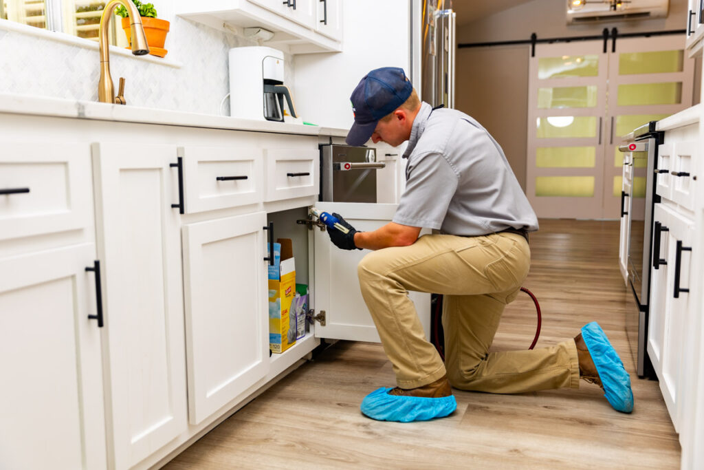 Lemoore xpert pest management